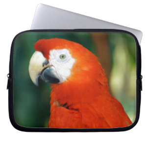 Capa Para Notebook Scarlet Macaw