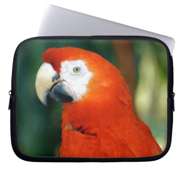 Capa Para Notebook Scarlet Macaw (Frente)