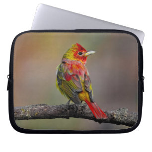 Capa Para Notebook Scarlet Tanager Molting - Fotografia original