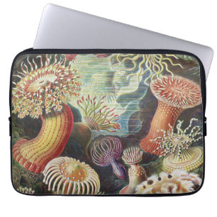 Capa Para Notebook Sea Anemones, Actiniae Seeanemonen Ernst Haeckel