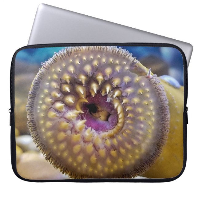 Capa Para Notebook Sea Lamprey Mouth (Frente)