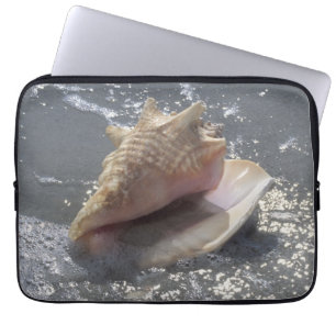 Capa Para Notebook Seashell na ilha da praia Sanibel, Florida