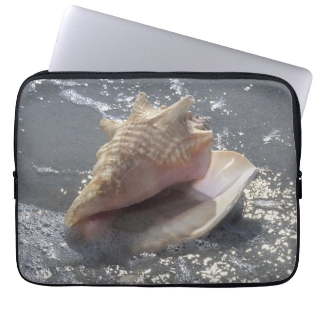 Capa Para Notebook Seashell na ilha da praia | Sanibel, Florida (Frente)