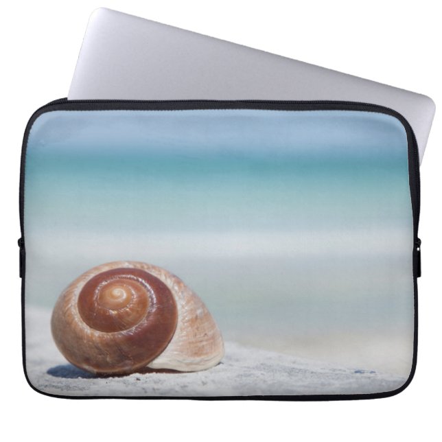 Capa Para Notebook Seashell | St Petersburg, Florida (Frente)