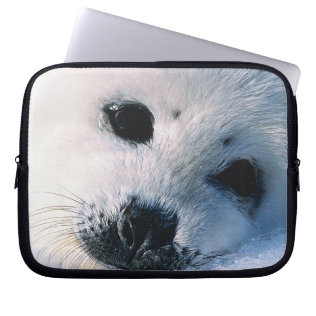 Capa Para Notebook Selo (Frente)