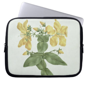 Capa Para Notebook Sensação-Esforço (quartinianum do Hypericum) (w
