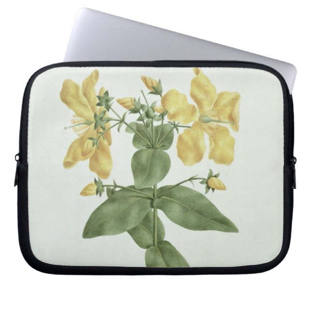 Capa Para Notebook Sensação-Esforço (quartinianum do Hypericum) (w/c (Frente)