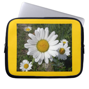 Capa Para Notebook Shasta Daisy (Chrysanthemum maximum)