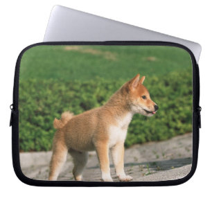 Capa Para Notebook Shiba minúsculo japonês 2