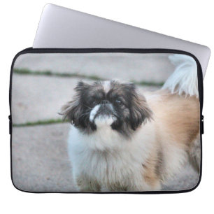 Capa Para Notebook Shih Tzu
