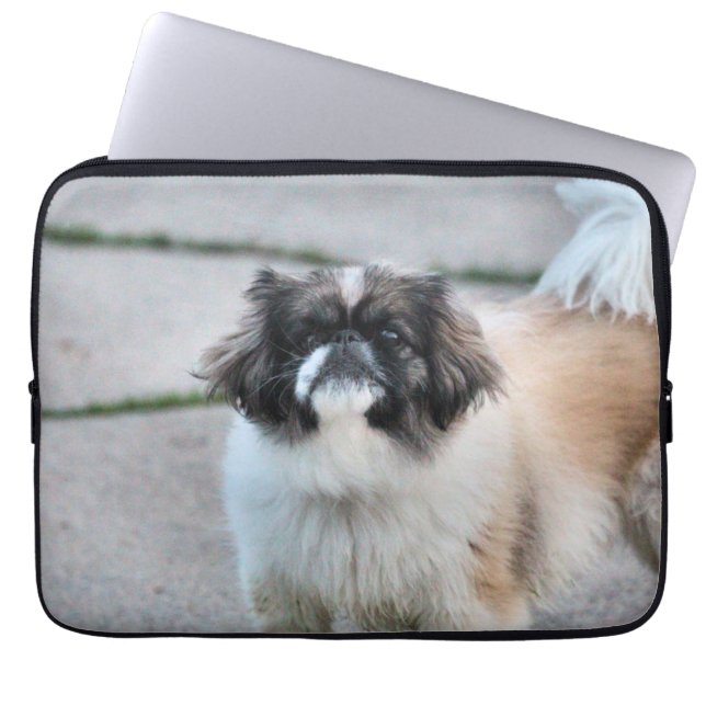 Capa Para Notebook Shih Tzu (Frente)