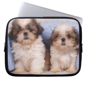 Capa Para Notebook Shih Tzu puppies sob um cobertor controlado