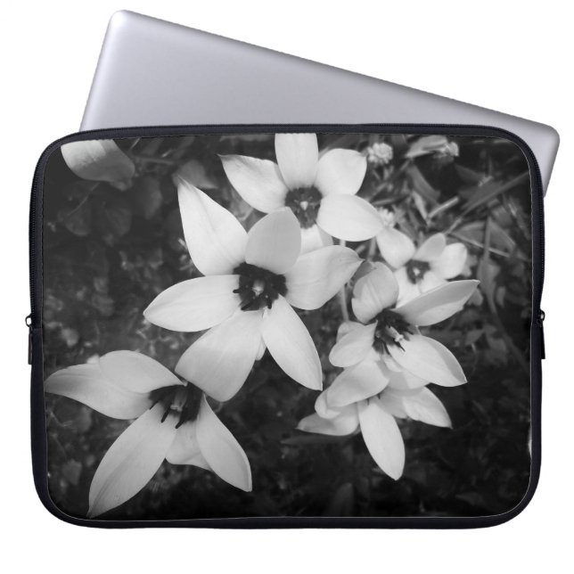 Capa Para Notebook Simetria Silenciosa (Frente)