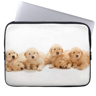 Capa Para Notebook Six Golden Retriever Puppies