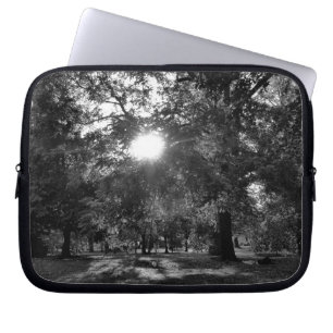 Capa Para Notebook Sol brilhando através de árvores