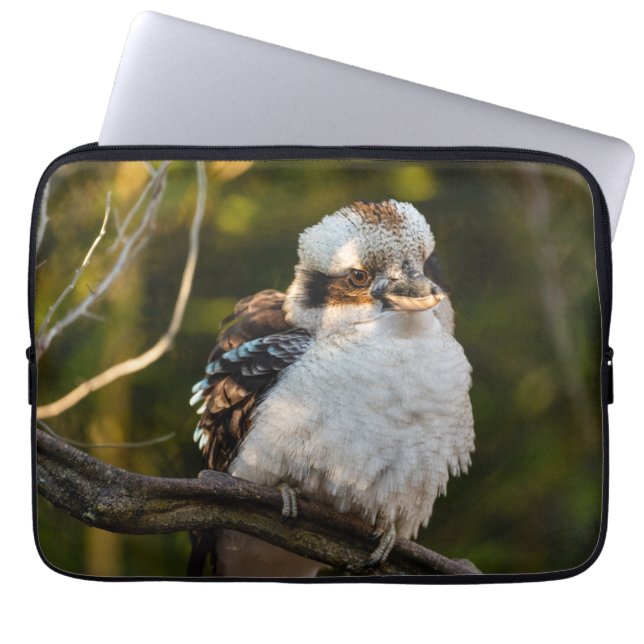 Capa Para Notebook Soprava rindo kookaburra (Frente)