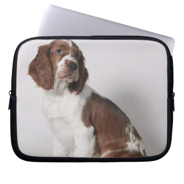 Capa Para Notebook Spaniel de Springer (Frente)
