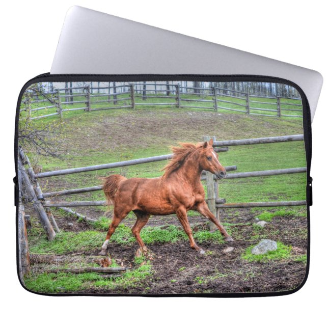 Capa Para Notebook Spirited Dun Pony, Cavalo Correndo em Ranch (Frente)