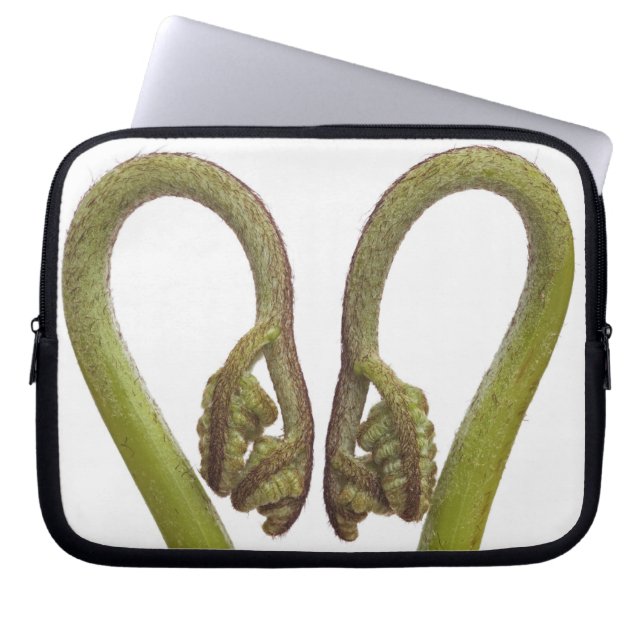 Capa Para Notebook Sprouts 2 da samambaia (Frente)