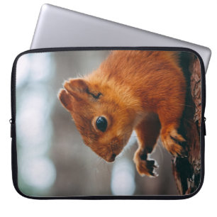 CAPA PARA NOTEBOOK SQUIRREL NO TRONCO DE ÁRVORE
