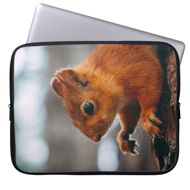 CAPA PARA NOTEBOOK SQUIRREL NO TRONCO DE ÁRVORE (Frente)