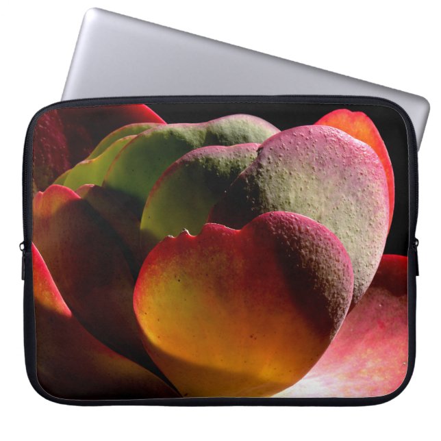 Capa Para Notebook Succult Desert Plant (Frente)