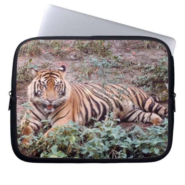 Capa Para Notebook Sumatran Tiger Bolsa de laptop (Frente)