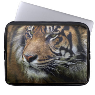 Capa Para Notebook Sumatran Tiger Wild Animal Big Cat-Lover