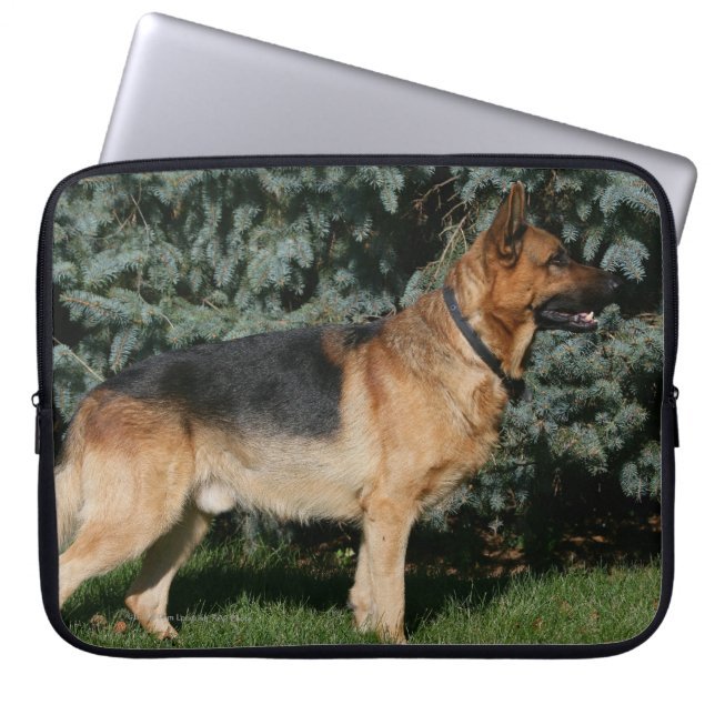 Capa Para Notebook Suporte da mostra do german shepherd (Frente)