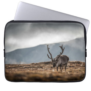 Capa Para Notebook Svalbard Reindeer Nature Foto: