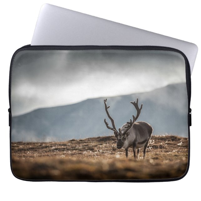 Capa Para Notebook Svalbard Reindeer Nature Foto: (Frente)