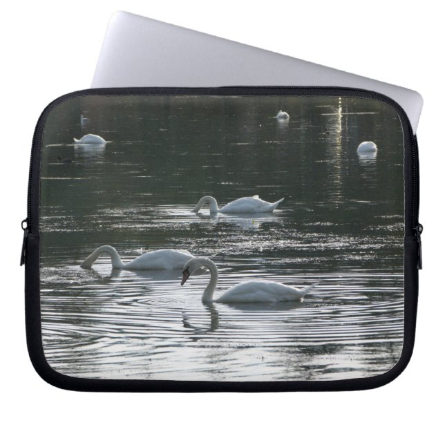 Capa Para Notebook Swans Feeding, Roath Park Lake, Cardiff (Frente)