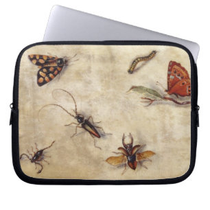 Capa Para Notebook T31567 um estudo de vários insetos, fruta e Anima
