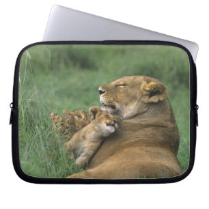 Capa Para Notebook Tanzânia, Cratera de Ngorongoro. Mãe de leão afric