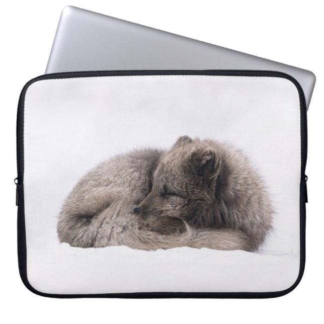 CAPA PARA NOTEBOOK TARDE SIESTA (Frente)