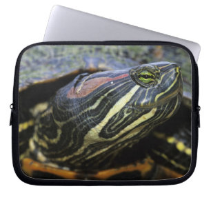 Capa Para Notebook Tartaruga-de-ouvido-vermelho, Trachemys scripta el
