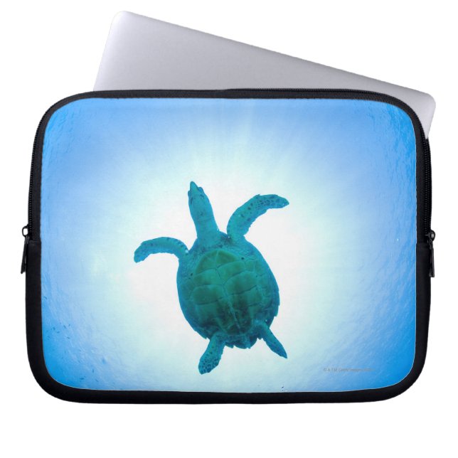 Capa Para Notebook Tartaruga marinha nadando debaixo de água (Frente)