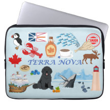 Terra Nova Terra Nova