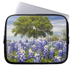 Capa Para Notebook Texas bluebonnets(lupinus texensis) e carvalho