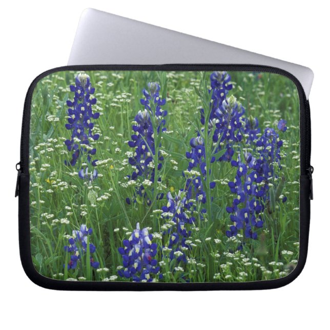 Capa Para Notebook Texas, Lago Buchanan. Texas Bluebonnet e Wild (Frente)
