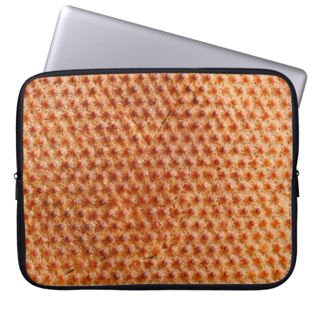 Capa Para Notebook Textura de pão com muitos pontos (após cozinhar li (Frente)