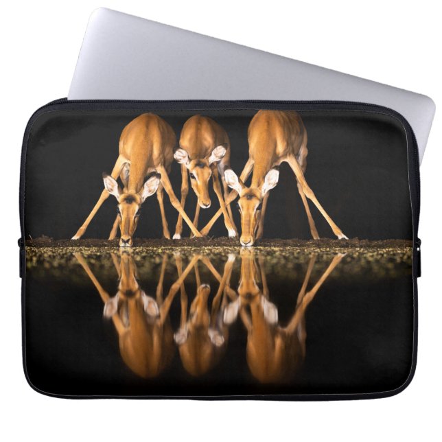 Capa Para Notebook Three Impala Drink Together at Night (Frente)