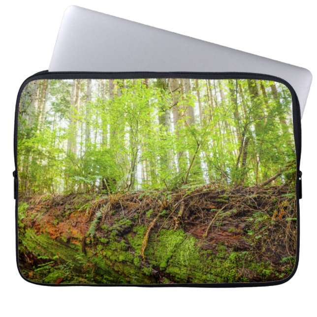 Capa Para Notebook Tiger Mountain | Issaquah, Estado de Washington (Frente)