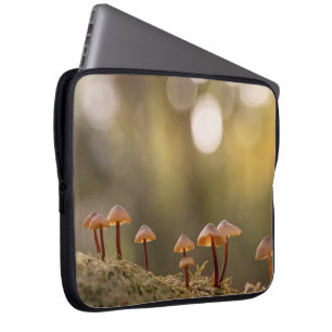 Capa Para Notebook Tiny Mushroom Nature Foto