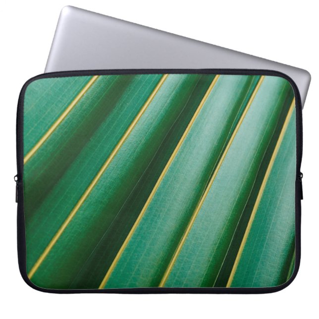 Capa Para Notebook Tiras de plantas de textura verde (Frente)