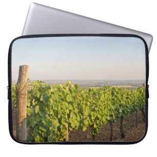 Capa Para Notebook Tokaj vineyards, Hungria