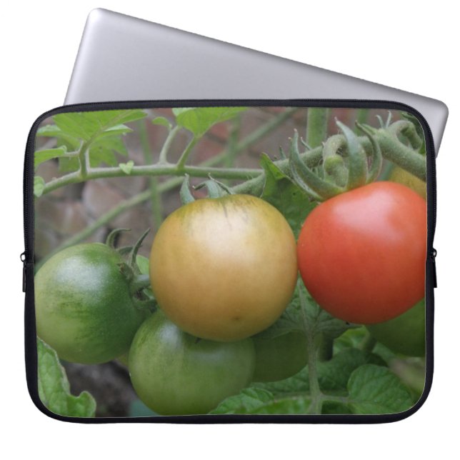 Capa Para Notebook Tráfego Leve Tomates - Laptop Bag (Frente)