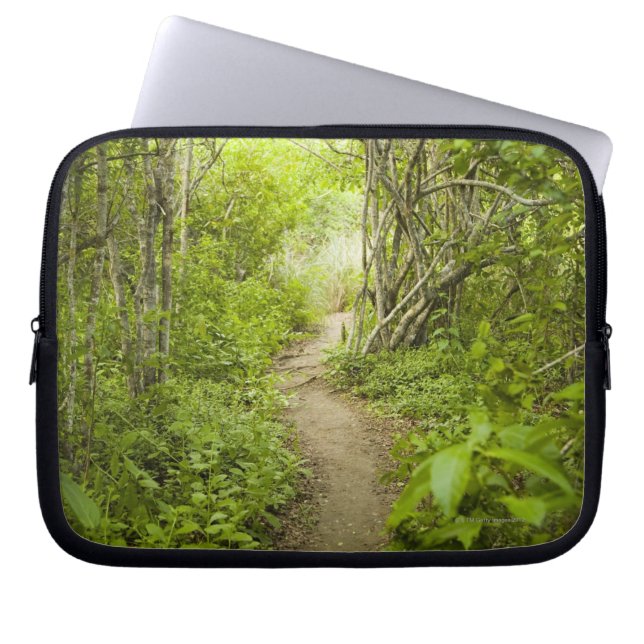 Capa Para Notebook Trajeto através da floresta (Frente)