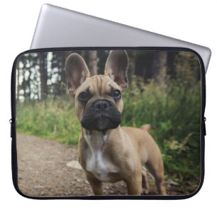 Capa Para Notebook Travesseiro de French Bulldog
