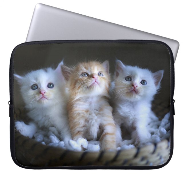 Capa Para Notebook Três Amigos (Frente)